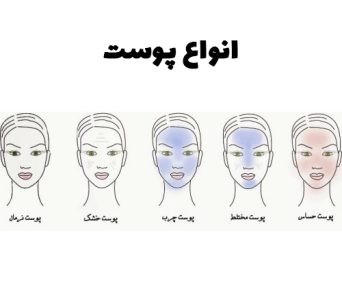 تشخیص انواع پوست